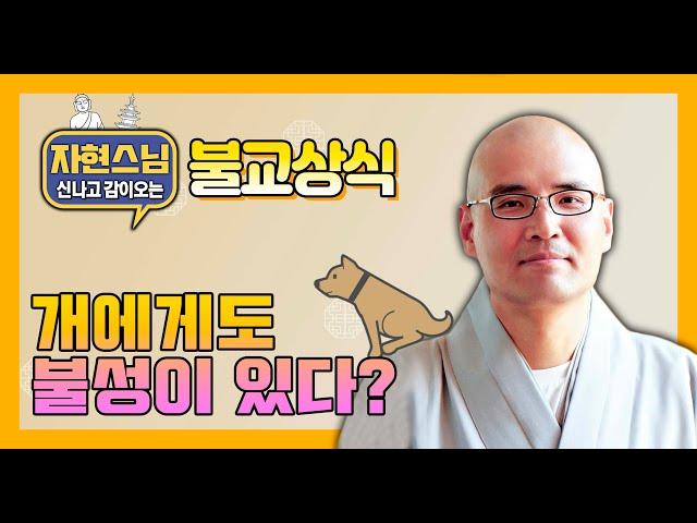 개에게도 불성이 있습니까? [BBS TV 자신감] 17회