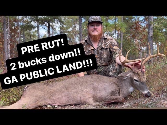 PRE RUT WEEKEND! Georgia PUBLIC land!!!!