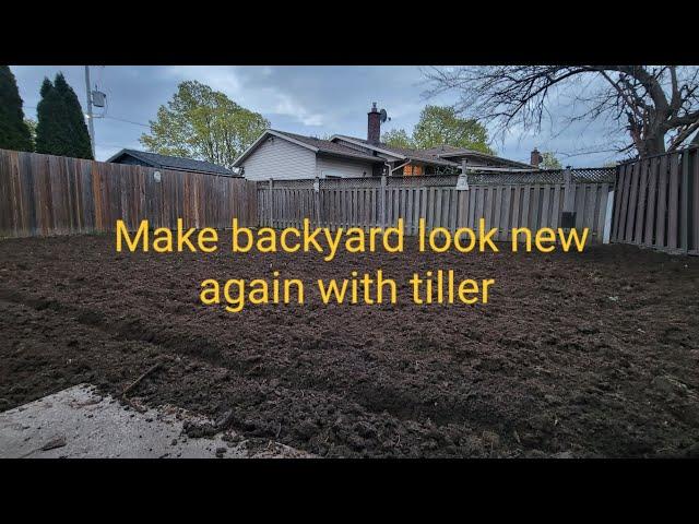 How to use a Home Depot tiller rental| How to get the weeds out of the backyard easy|Removing weeds