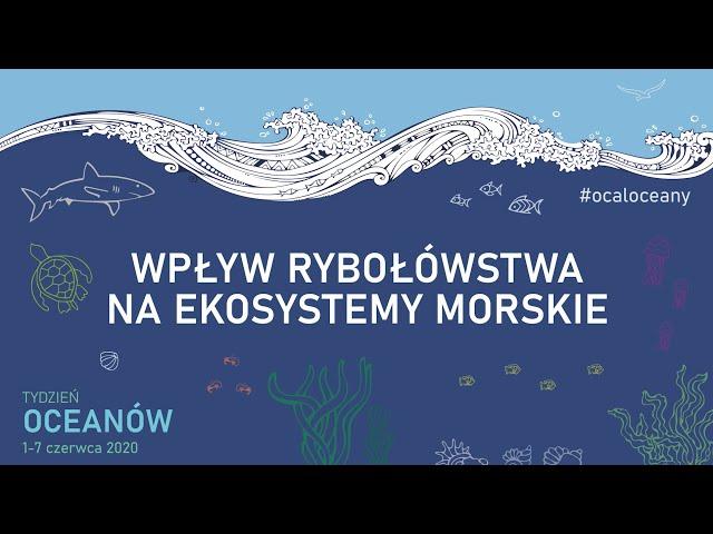 CZY ZABRAKNIE DORSZY? | Tydzień Oceanów WWF 2020