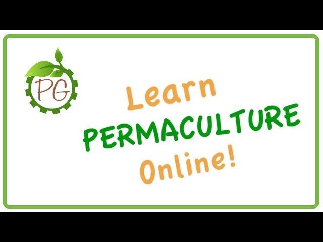 Online Permaculture Courses 2016
