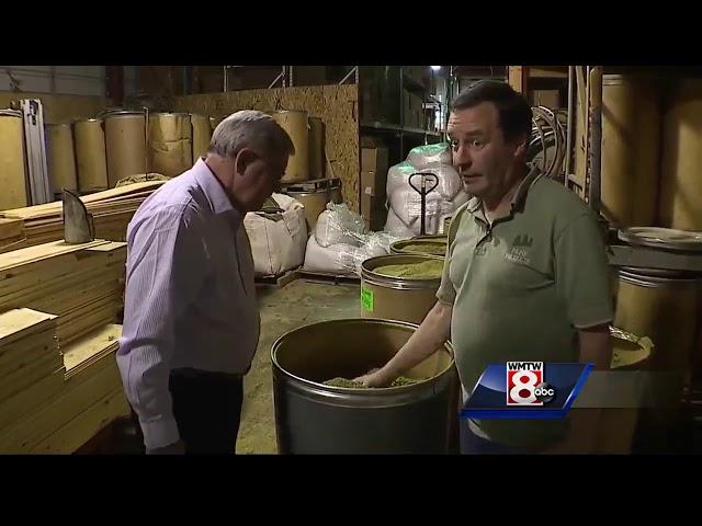 Local company brings popular balsam fir scent to Mainers