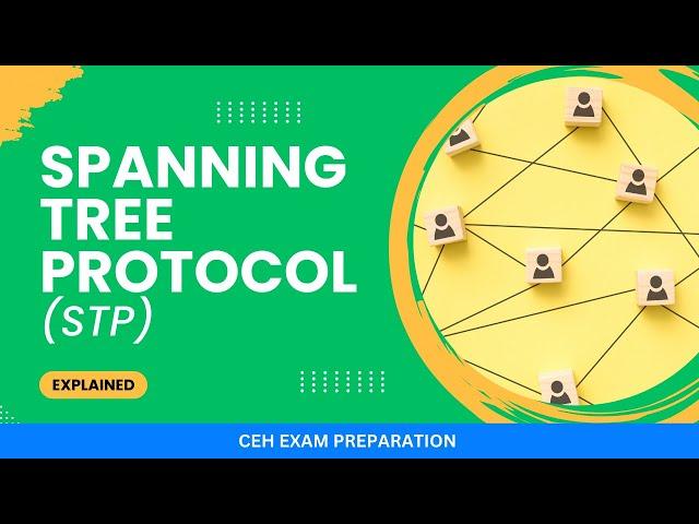 Spanning Tree Protocol (STP) Manipulation Attack | CEH Exam Preparation 2024 | Hemang Doshi