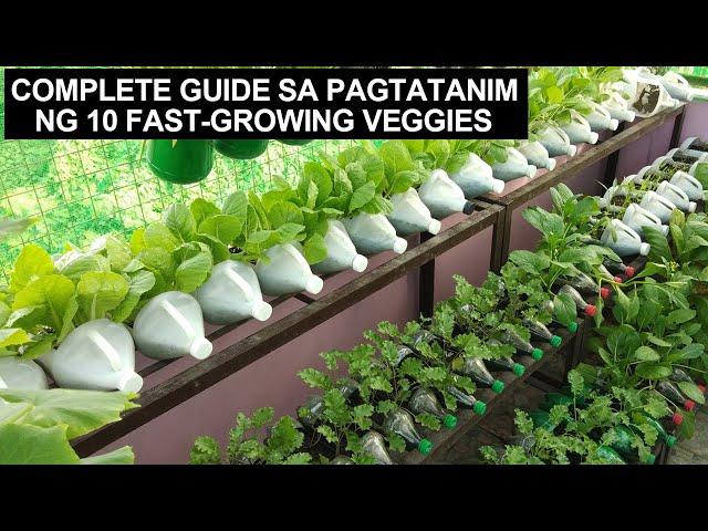 COMPLETE GUIDE SA PAGTATANIM NG 10 FAST-GROWING VEGETABLE SA CONTAINERS