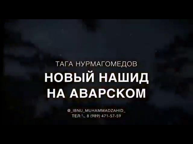 Новый нашид Тага Нурмагомедов 2019