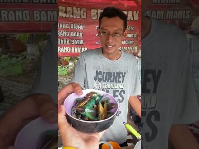 BELI KERANG BERONTAK BAWA KERANG SENDIRI || HAYUYUYUUU KULINER