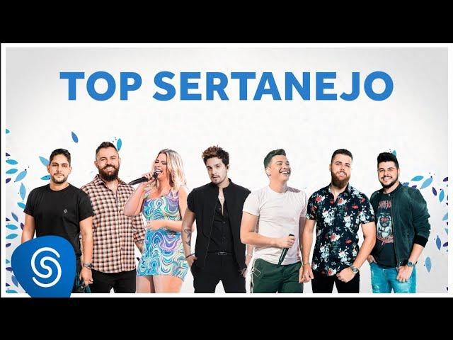 TOP SERTANEJO 2020 - As Melhores do ano