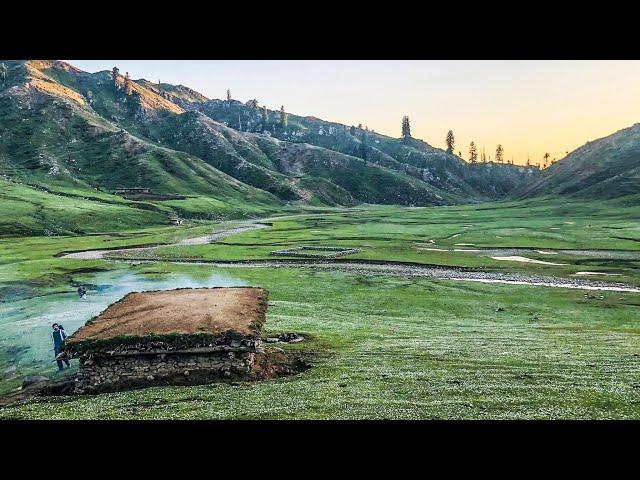 Hidden Baleja Meadows Siran valley KP journey |ExplorePakistan|  HikingCampingTrekking| Documentary