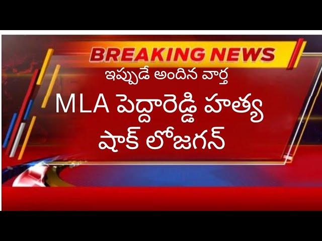 MLA పెద్దారెడ్డి హత్య..షాక్ లోజగన్..#mla #peddareddy #telugunews #andhraupdates #apnews #ycp #jagan