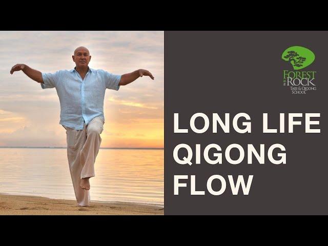 Long Life Qigong Sequence - Forest Rock Qigong