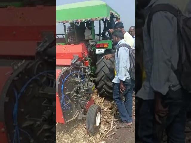 Round baler working in maize field