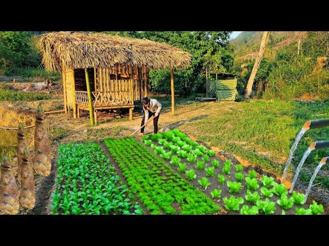 17 year old single mother: gardening - finding clean water - digging sweet bamboo shoots