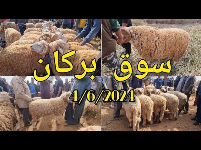 سوق بركان ارتفاع اتمنة حولي حولي الدرويش والو