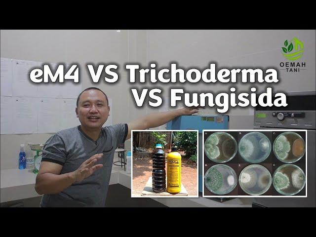 TRICHODERMA VS EM4