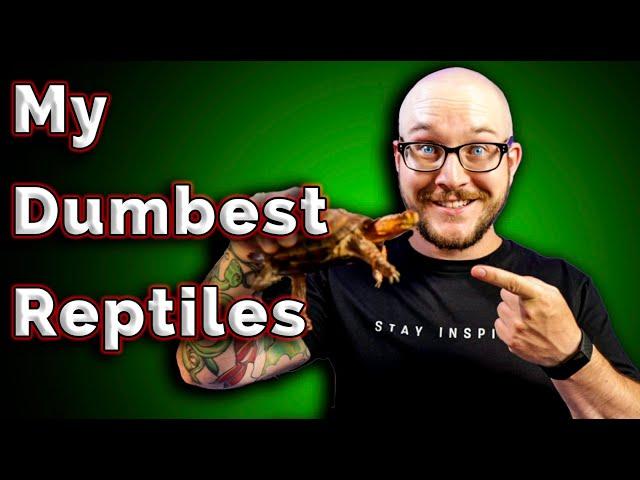 My Dumbest and Smartest Reptiles | NEW Reptile Reveal!