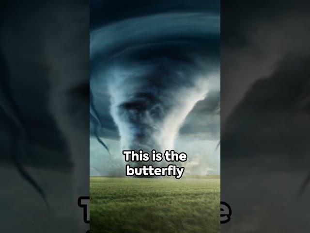 The Butterfly Effect: Chaos Theory Explained #physics #chaos #energy #butterflyeffect