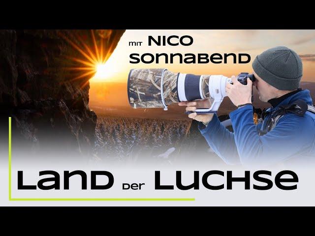 Im Land der Luchse mit @nicosonnabend Teil 1 - Naturfotografie / Tierfotografie