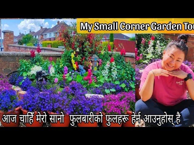 My Small Corner Garden Tour | Nepali gardening vlogs