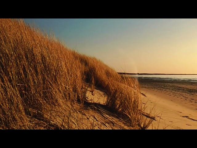 Fantasiereise an die Ostsee - Entspannung am Meer von Patricia Glaser-Theis