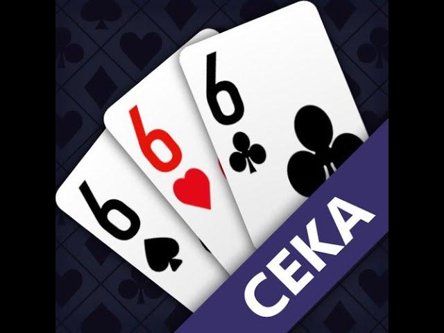 POKER SEKA RU