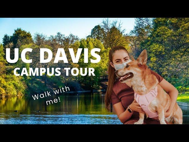 UC Davis Campus Tour for Incoming College Students | University of California Davis 2022-2023