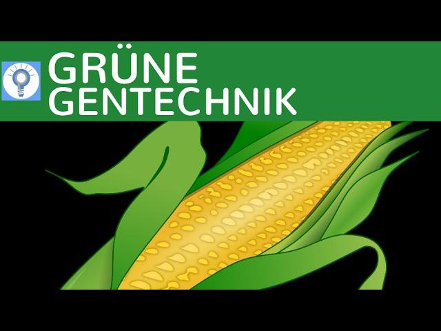 Grüne Gentechnik - Transgene Pflanzen & Transgene Tiere einfach erklärt & Beispiele | Gentechnologie