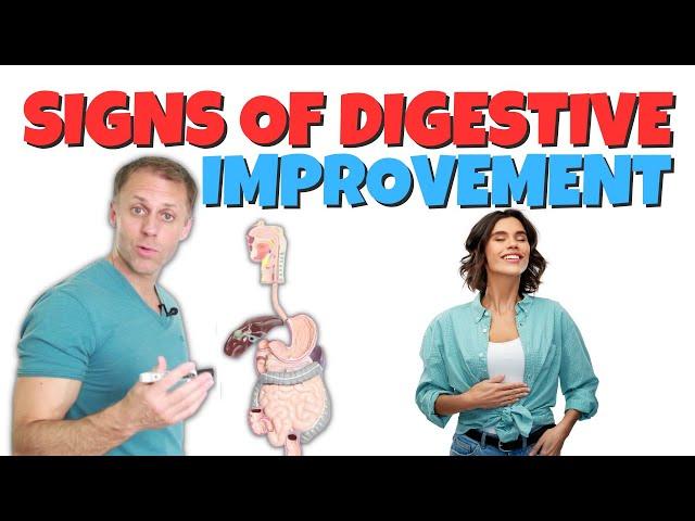 Signs You’re Improving Digestion