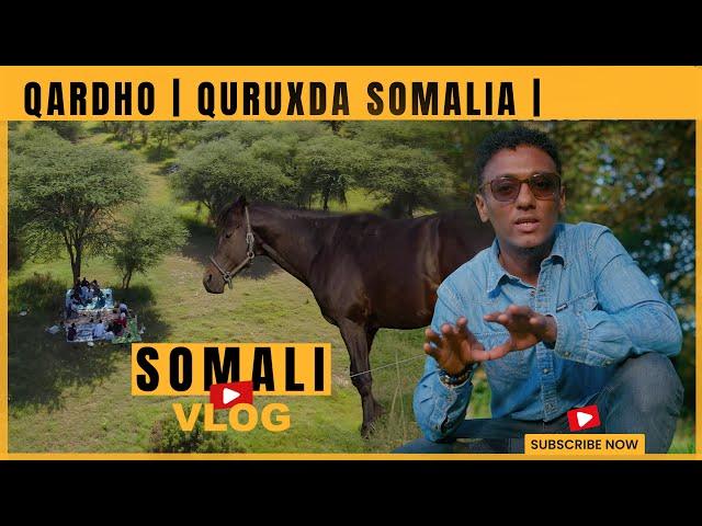 SOMALI VLOG: MY VISIT TO BEAUTIFUL QARDHO    SOMALIA # 4k