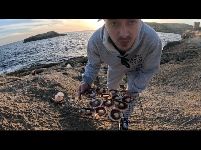 Jakobsmuscheln am Meer grillen 