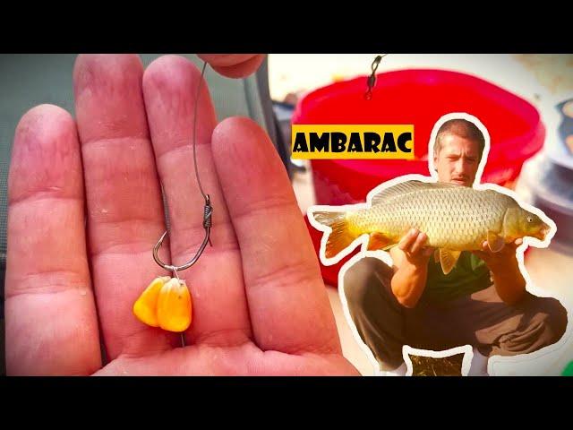 Motivacija i upornost - ambarac i šarani - 50 sati bez udarca-Tamiška dlaka daje ribu | CARP FISHING