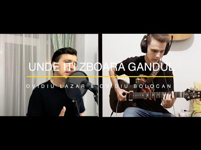 Liviu Teodorescu - Unde Iti Zboara Gandul? (Ovidiu Lazar & Ovidiu Bolocan Cover)