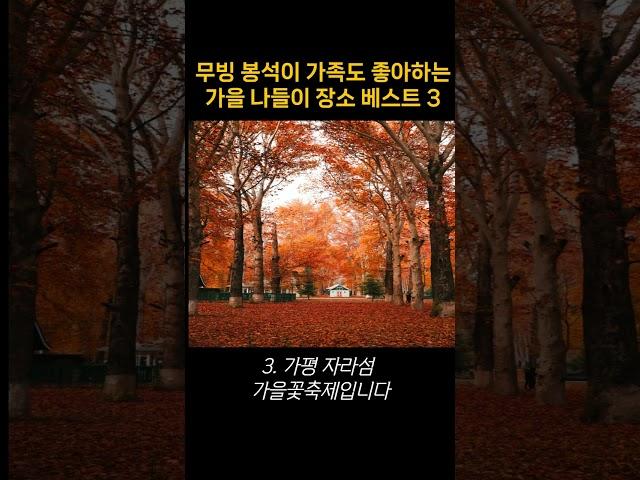 무빙 봉석이 가족도 좋아하는 가을 나들이 코스 베스트 3!!