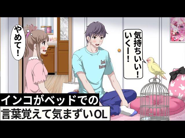 インコが夜の言葉覚えて気まずい【アニメ】