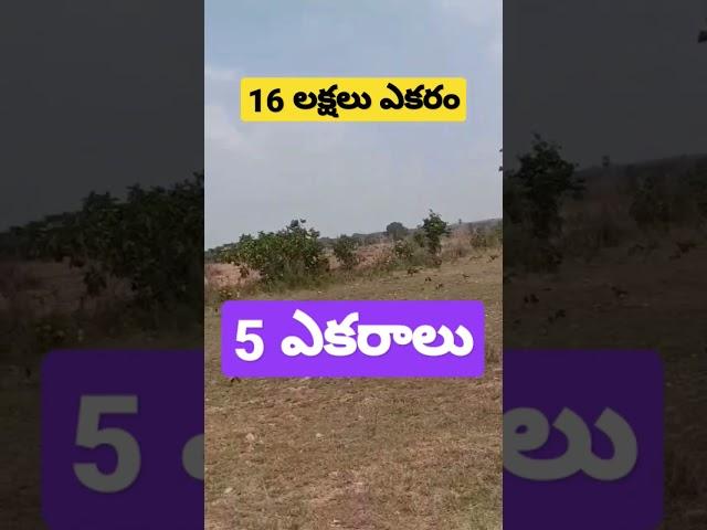 low price agriculture land sale in telangana #9533344166#16 lakhs acre#peddapalli#hyderabad @soldout