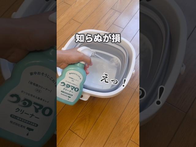 【知らないと大損】ウタマロ活用術