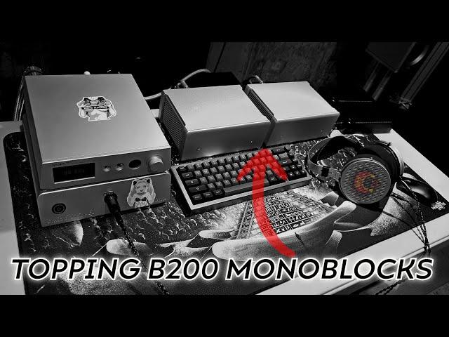 $600 Monoblocks \\ Topping B200