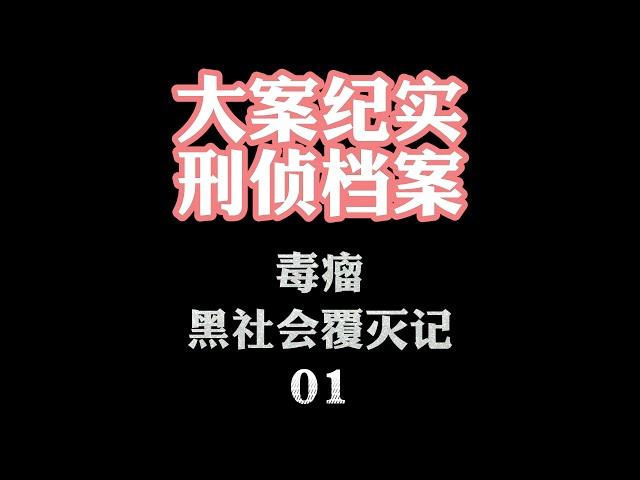 大案纪实【刑侦档案】有声小说 毒瘤【黑社会覆灭记】01