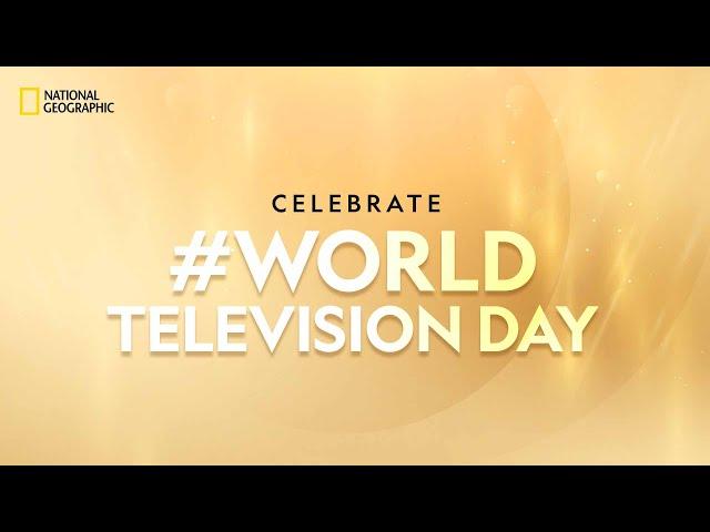 World Television Day | National Geographic