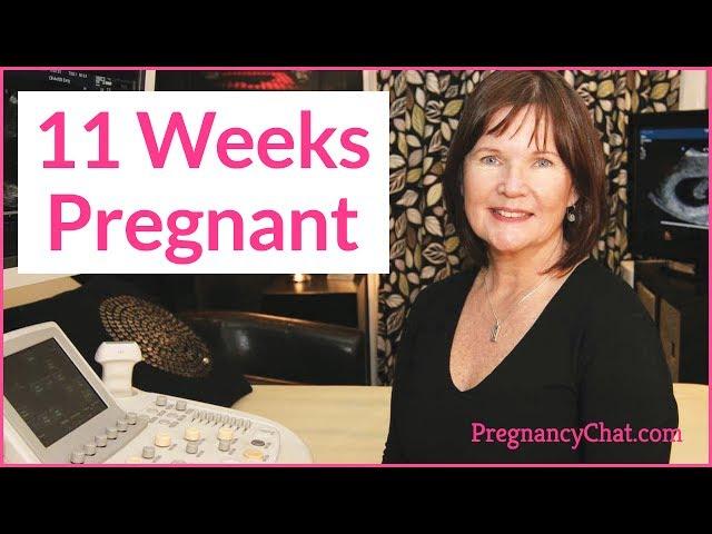 "11 Weeks Pregnant" by PregnancyChat.com @PregChat