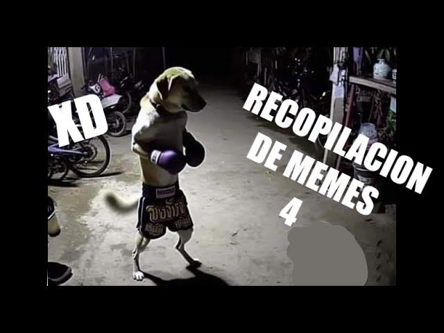 Recopilación de memes GRACIOSOS, RANDOM Y VIRALES #4