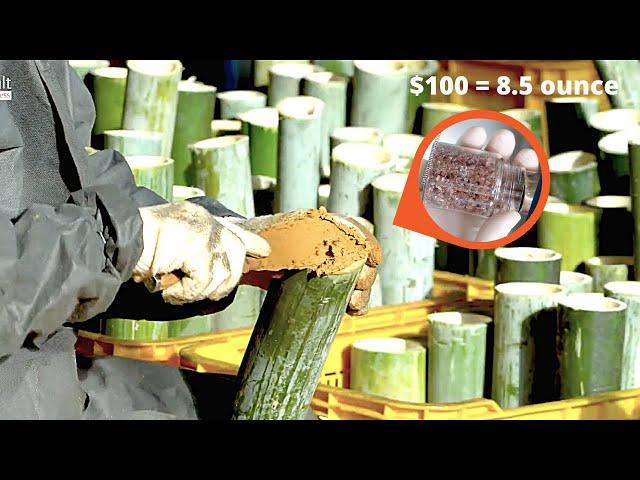 How World's Most Expensive Bamboo Salt Manufactured In A Factory | Intensive Manufacturing Process