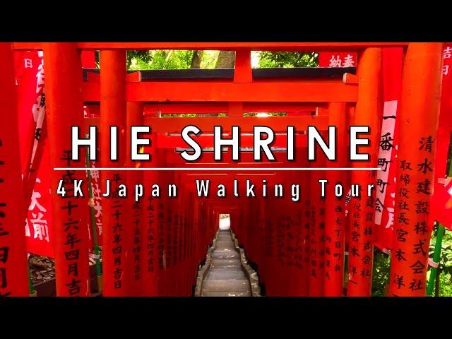 Tokyo  Walk in Hie Shrine/July 2023