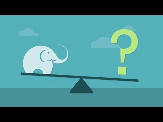 How much should an elephant weigh?