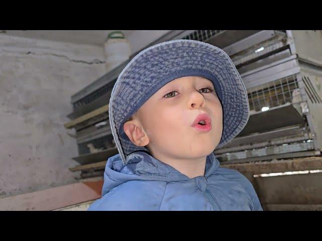 Переселение  с помощником  с ума можно сойти 