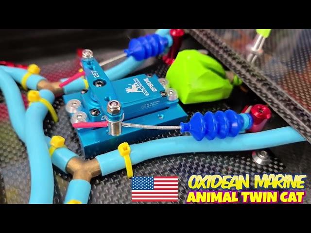 BEST RTR Rc Boat for 2025! Animal Twin Cat Oxidean Marine!