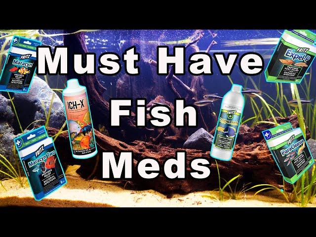 Fish Medications Every Fish Keeper Needs! Beginners Guide to Fish Medications