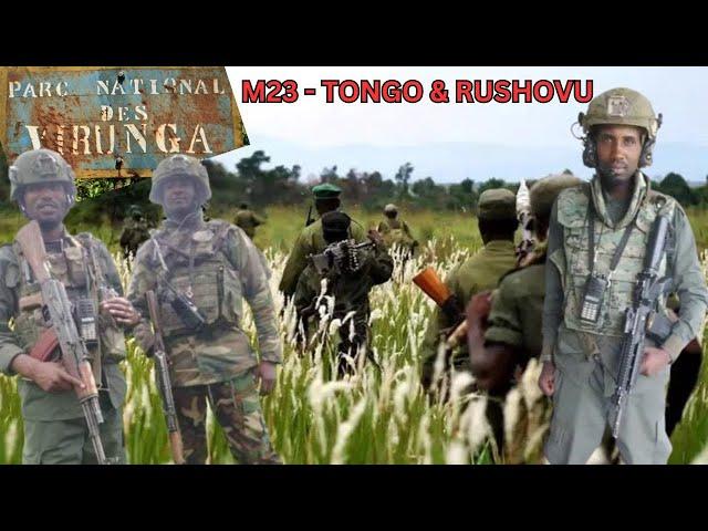 M23 YATWITSE IBIRINDIRO BYA FDLR MURI PARIKE YA VIRUNGA, YICA COL KIZUNGU N'ABAFDLR-NYATURA 40/ 23.6