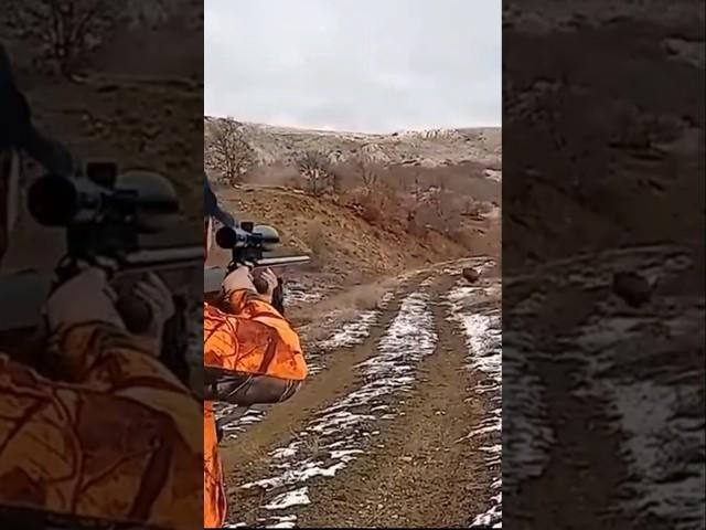 охота на кабана в россии с очень близкого расстояния #охота #загоннаяохота #кабан #весенняяохота