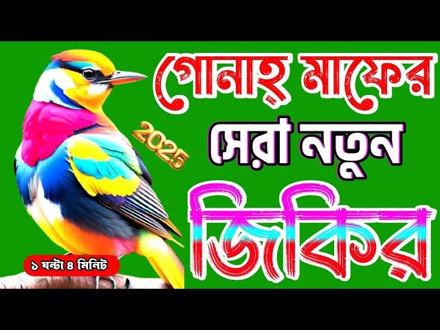 সেরা কন্ঠে আল্লাহর নামের জিকির || BANGLA JIKIR || লা ইলাহা ইল্লাল্লাহ || La ilaha illallah zikir