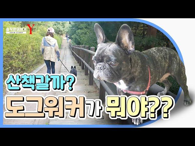 산책갈까? 도그워커가 뭐야?? 1부